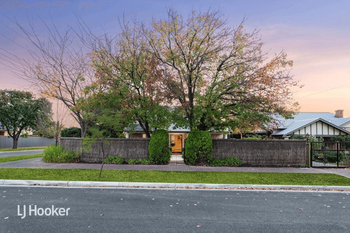 15 Lynington Street, Tusmore, SA 5065