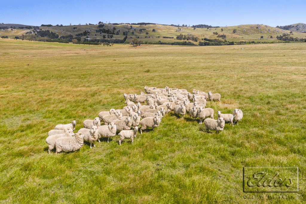 Lot 1  Lancefield-Tooborac Road, TOOBORAC, VIC 3522