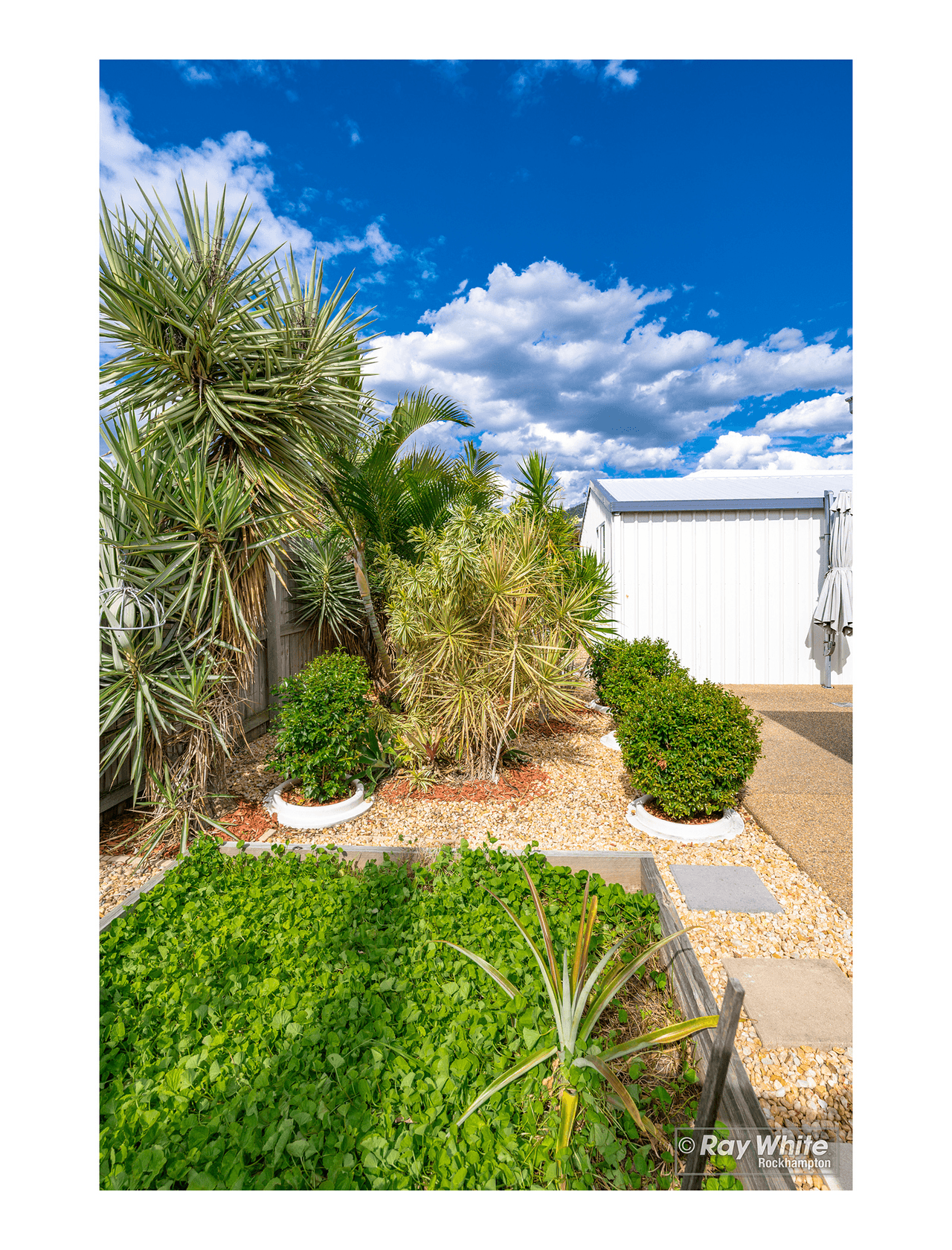 12 Mistletoe Avenue, NORMAN GARDENS, QLD 4701