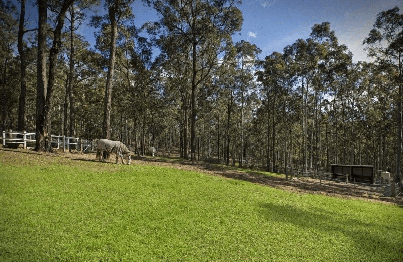 24 Treelands Drive, Jilliby, NSW 2259