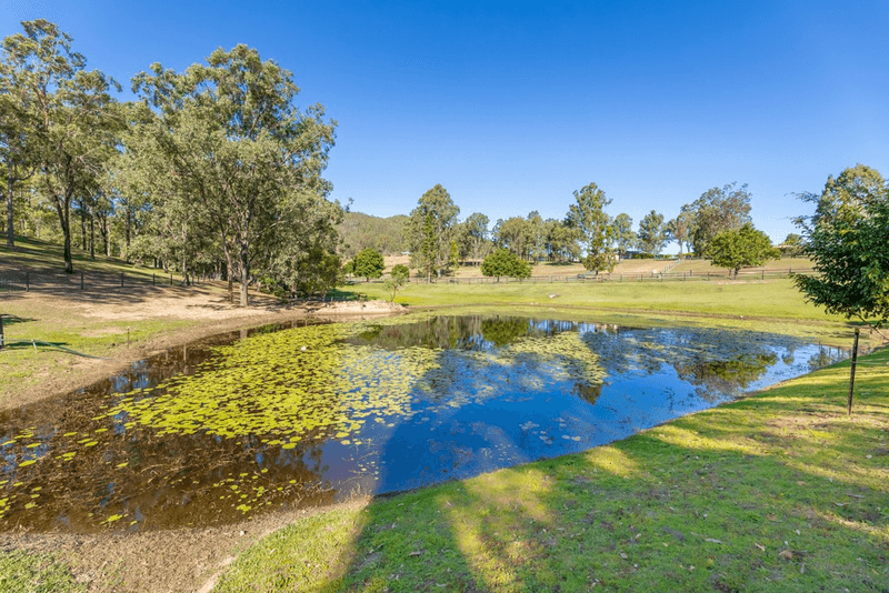 83 PARK DRIVE, SANDY CREEK, QLD 4515