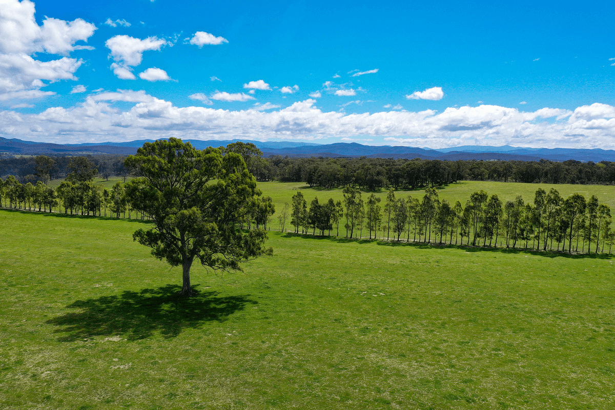 Boisdale-Newry Road, Boisdale, VIC 3860