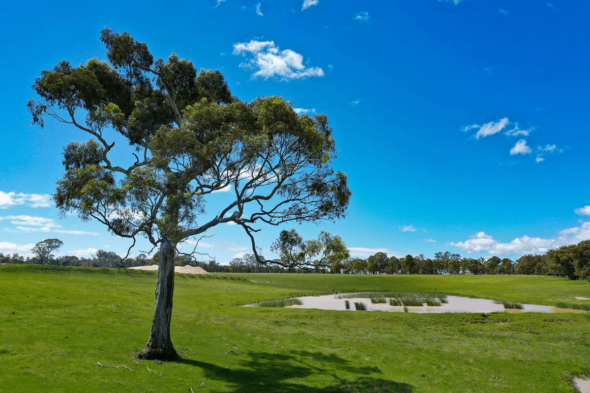 Boisdale-Newry Road, Boisdale, VIC 3860