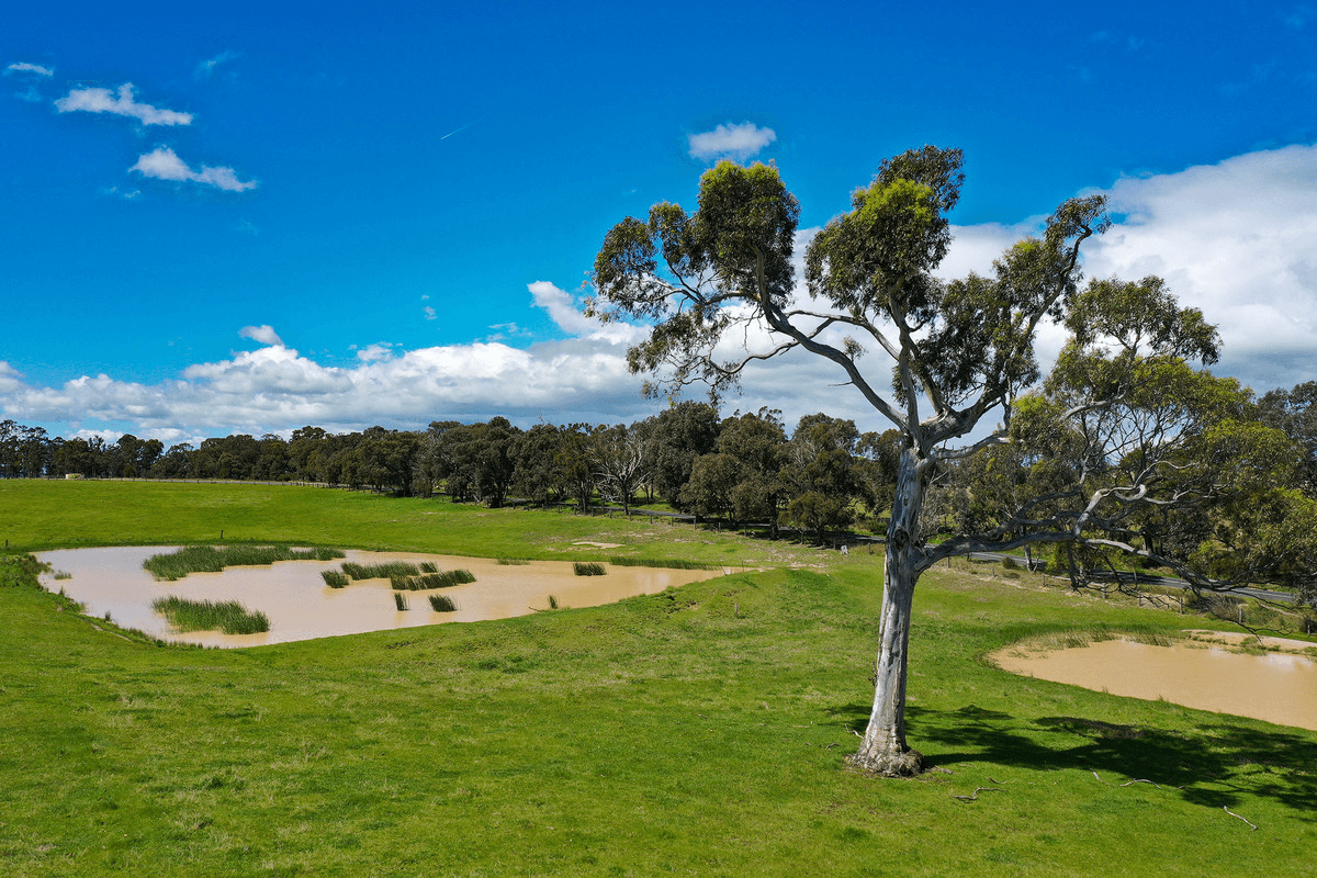 Boisdale-Newry Road, Boisdale, VIC 3860