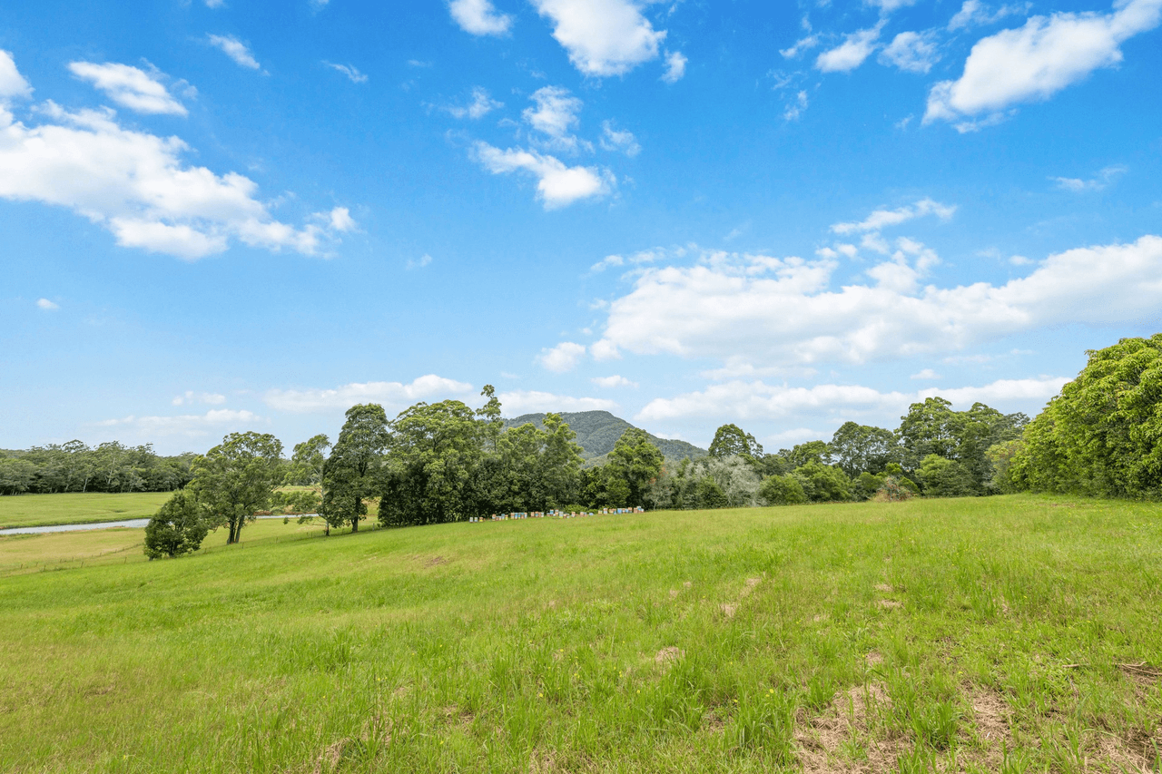 84 Isaacs Lane, Johns River, NSW 2443