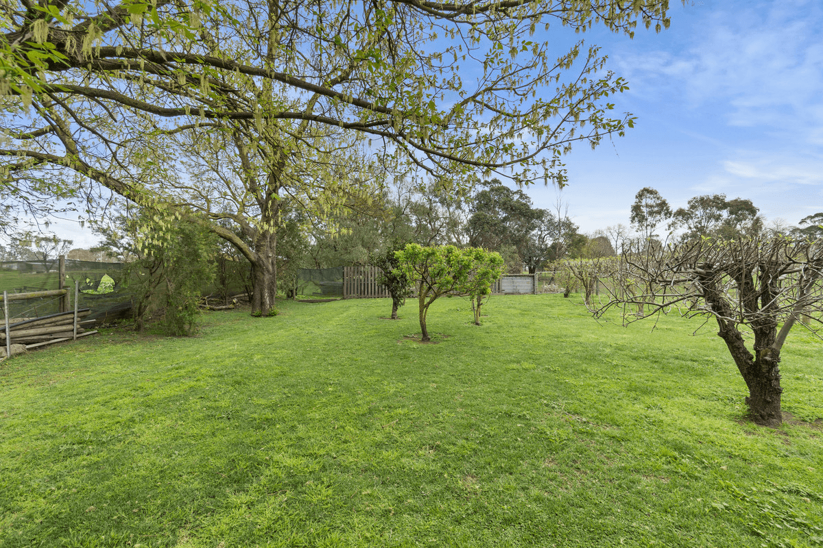 9 McCole Street, Newry, VIC 3859