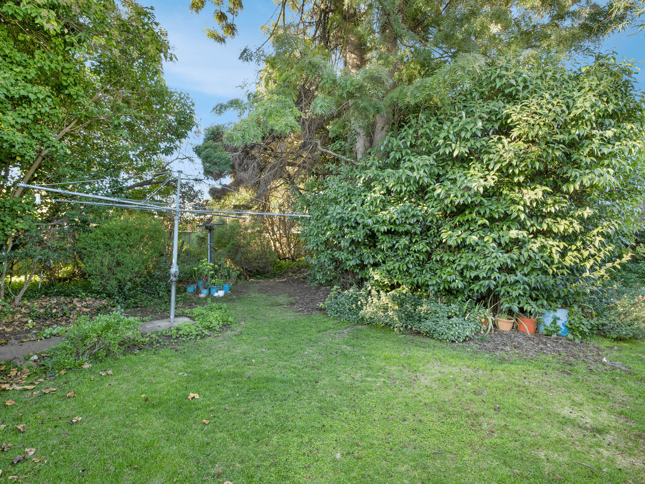 5 Silverwood Grove, WANGARATTA, VIC 3677