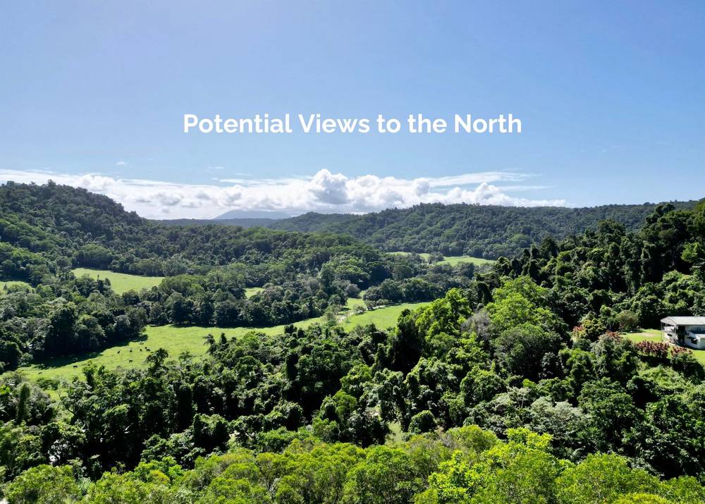 6 Dean Road, Bamboo, MOSSMAN, QLD 4873