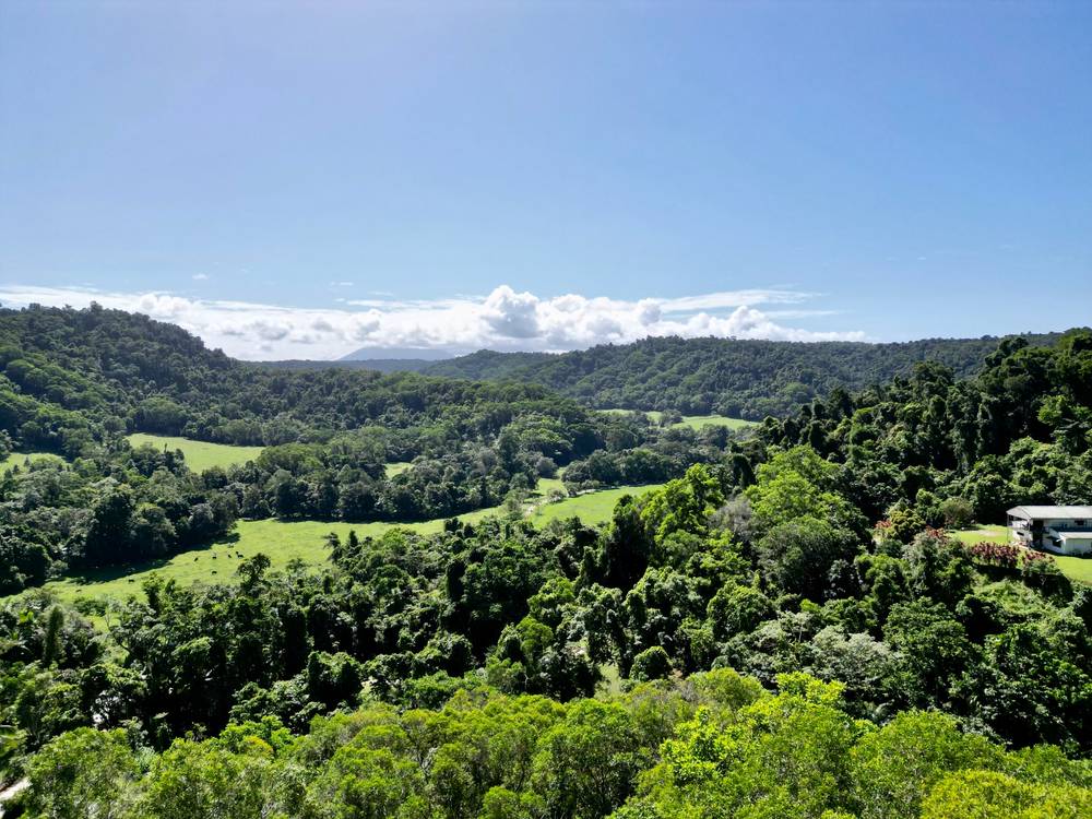 6 Dean Road, Bamboo, MOSSMAN, QLD 4873