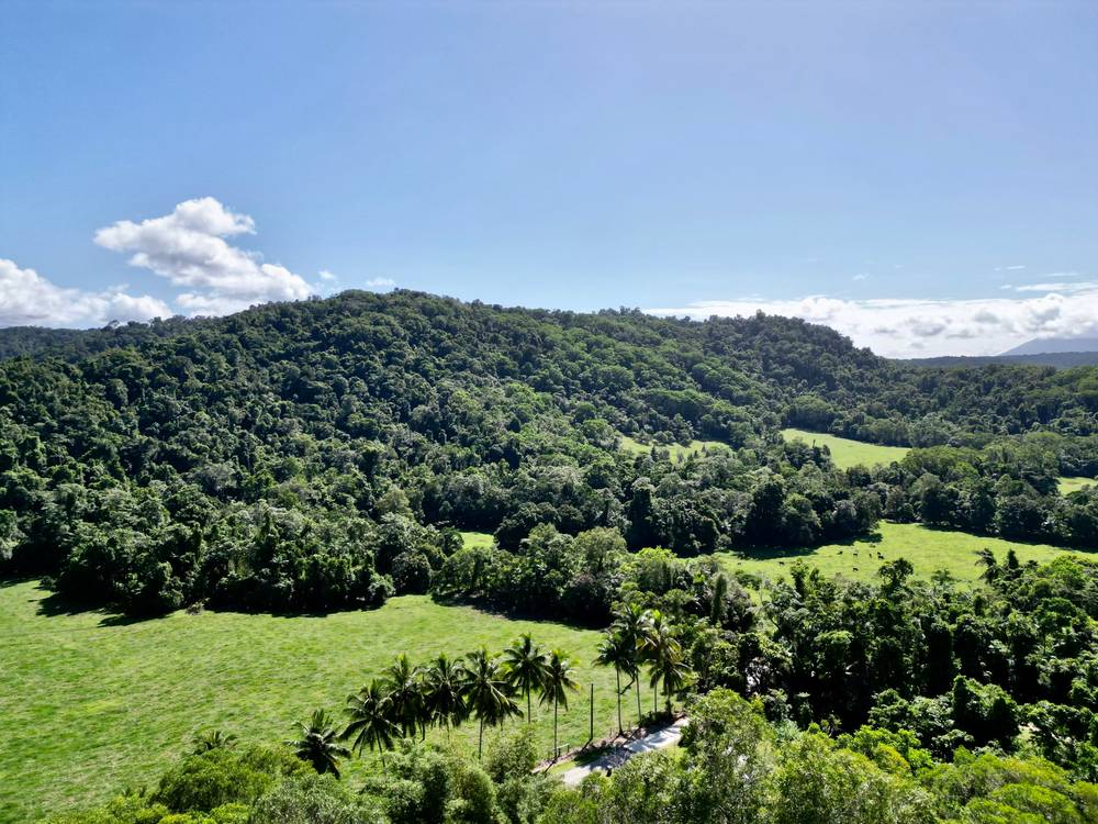6 Dean Road, Bamboo, MOSSMAN, QLD 4873