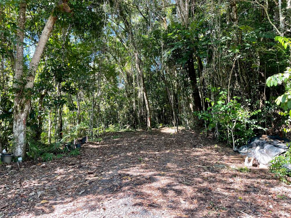 6 Dean Road, Bamboo, MOSSMAN, QLD 4873