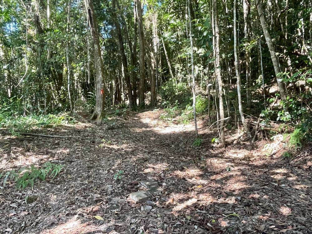6 Dean Road, Bamboo, MOSSMAN, QLD 4873
