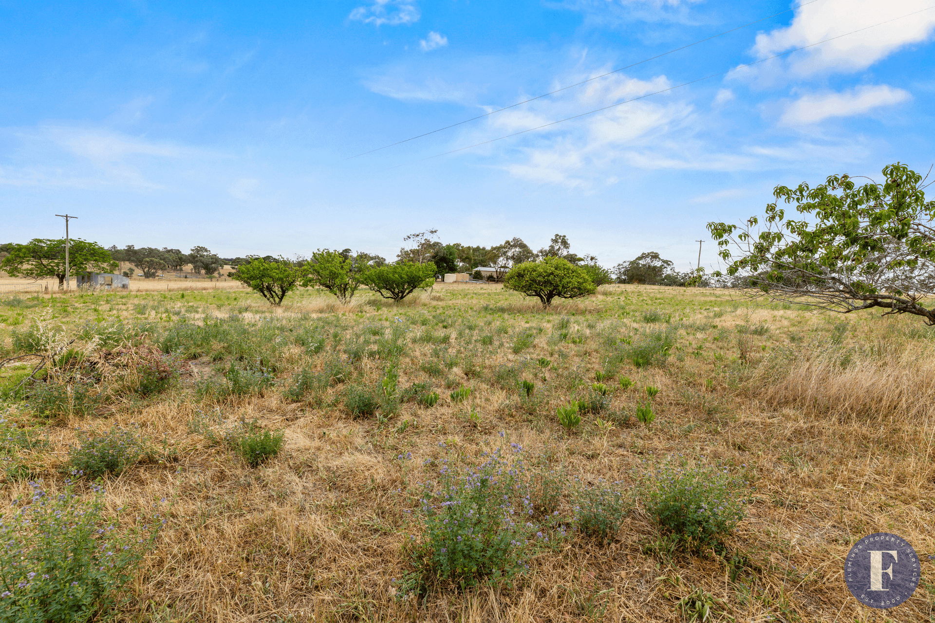 4166 Murringo Road, Young, NSW 2594