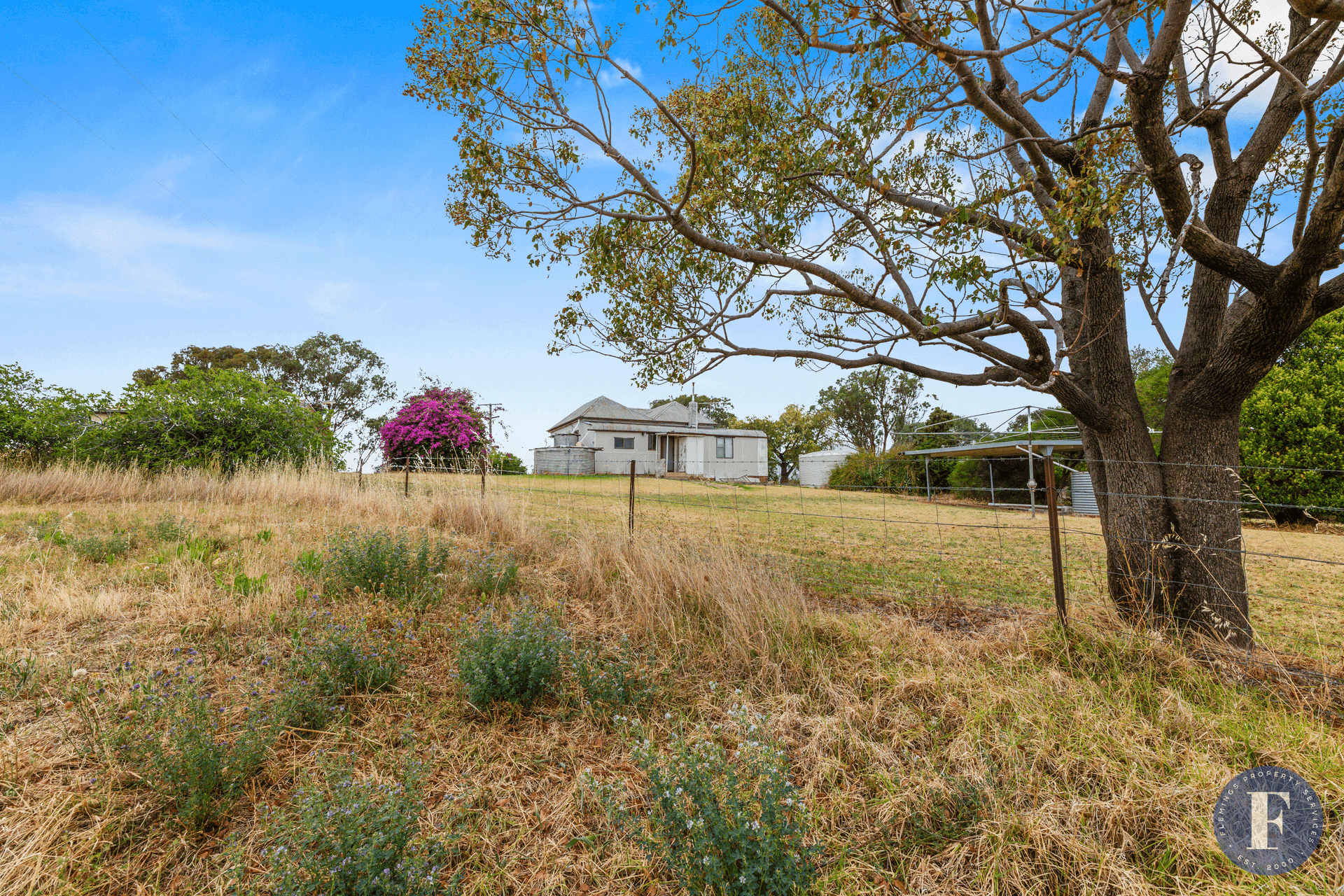 4166 Murringo Road, Young, NSW 2594