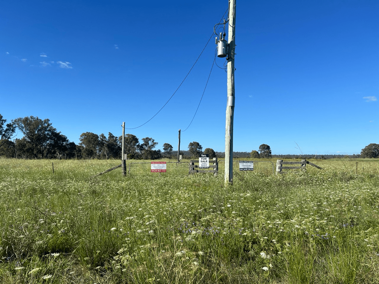 Seibel Lane, PRATTEN, QLD 4370