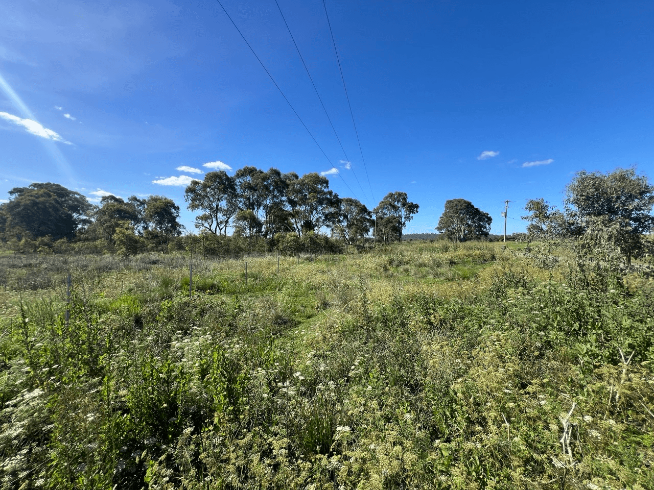 Seibel Lane, PRATTEN, QLD 4370