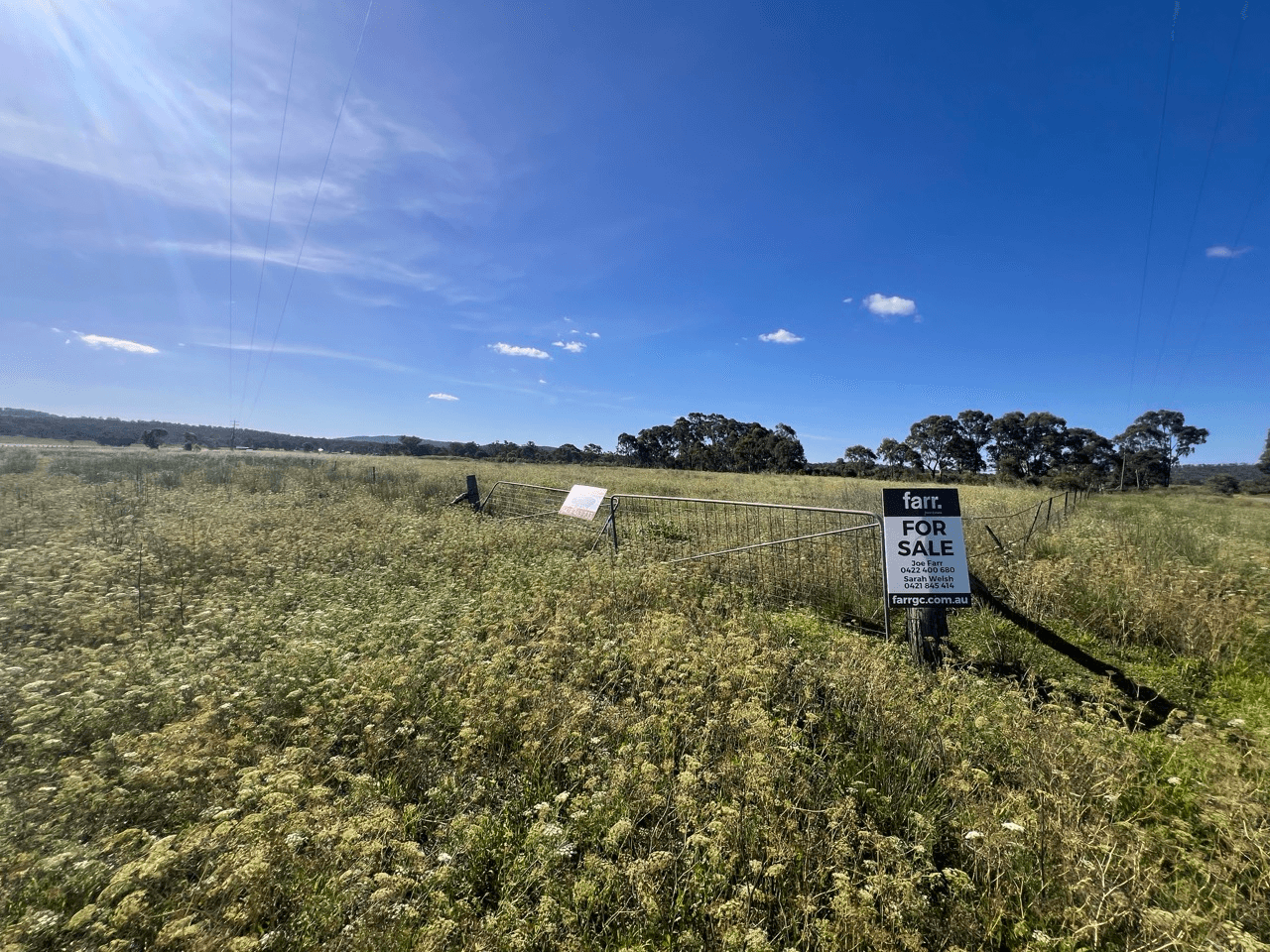 Seibel Lane, PRATTEN, QLD 4370