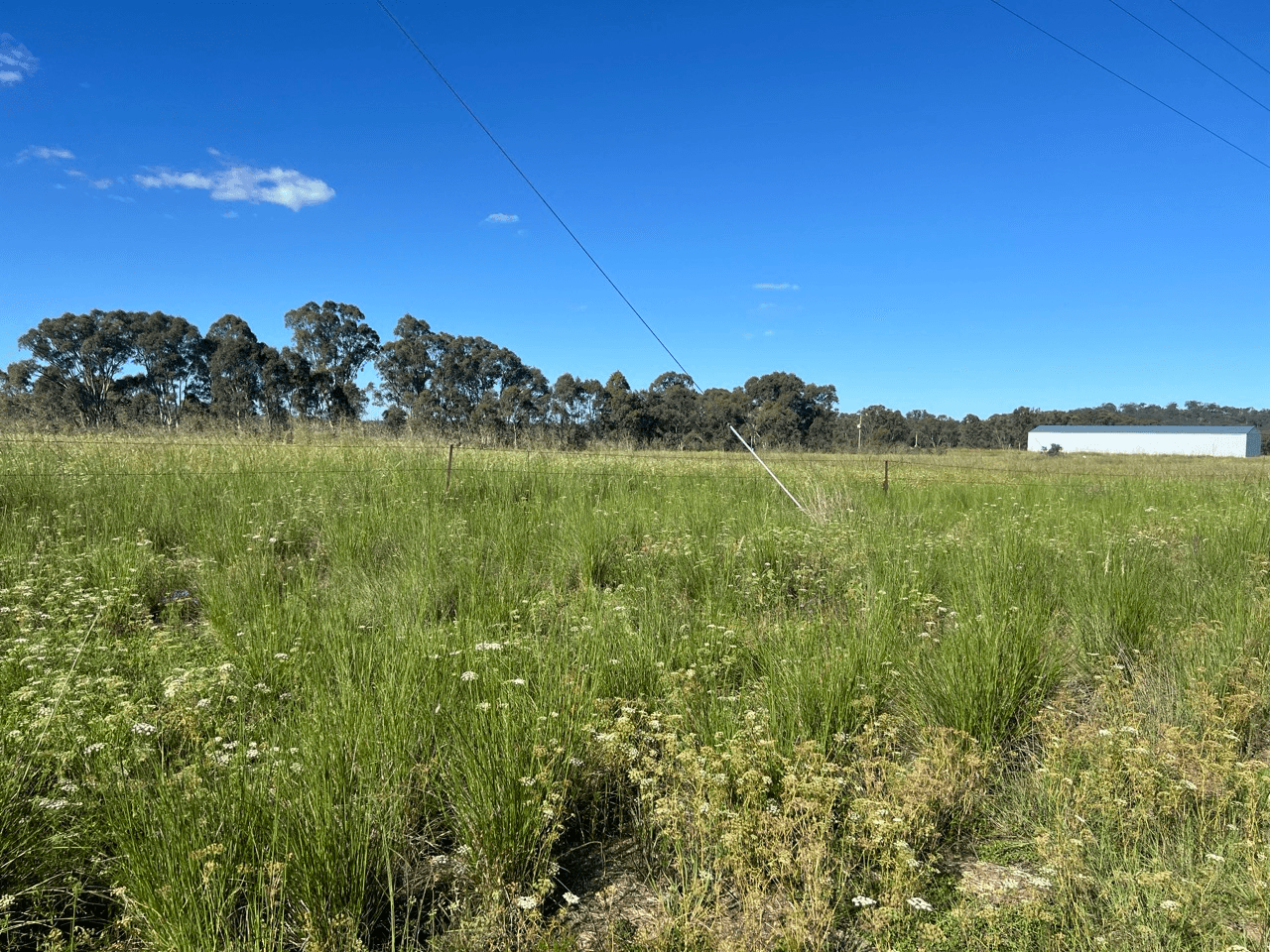 Seibel Lane, PRATTEN, QLD 4370