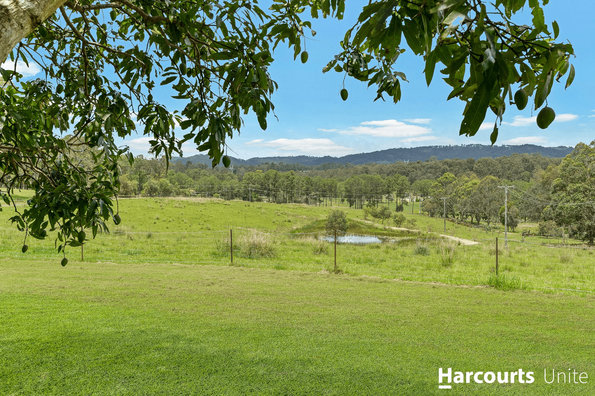 39 Fantail Court, MOORINA, QLD 4506