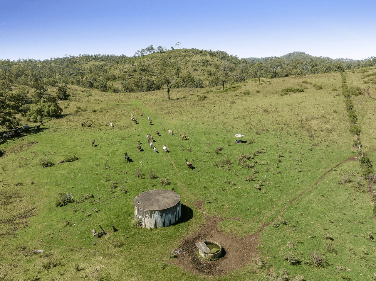 "Don-Toria Downs" Schultz Road, COALBANK, QLD 4352