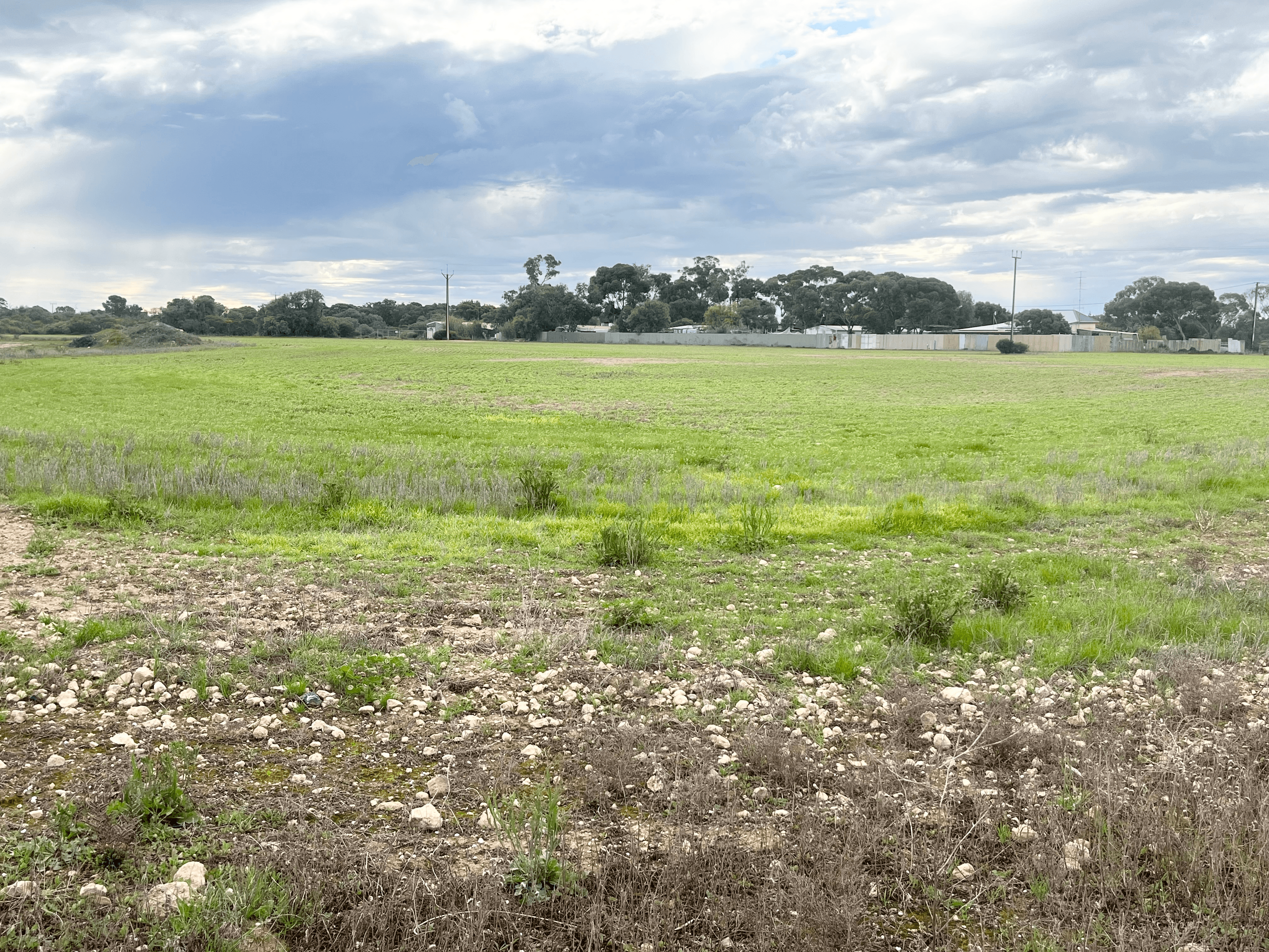 Lot 65 Creswell Street, WALLAROO MINES, SA 5554