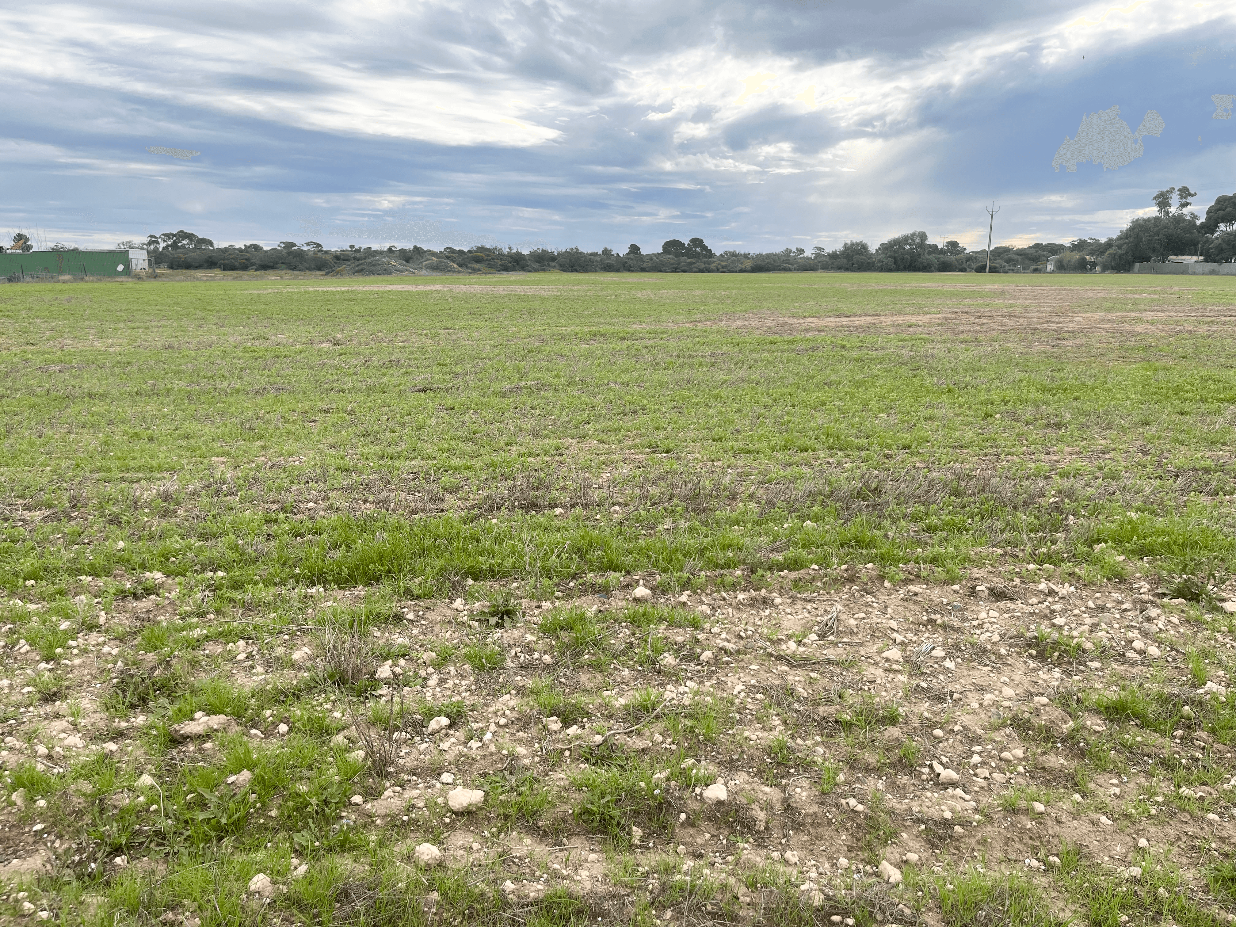 Lot 65 Creswell Street, WALLAROO MINES, SA 5554