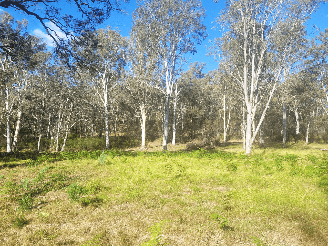 Lots 32,113 & 114 Off Neringla Road, NERINGLA, NSW 2622