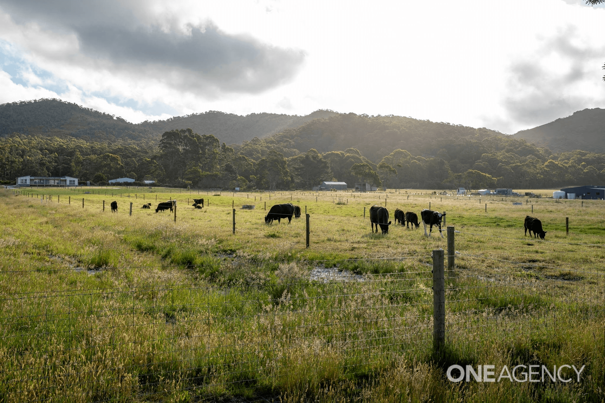 80 Irby Boulevard, SISTERS BEACH, TAS 7321