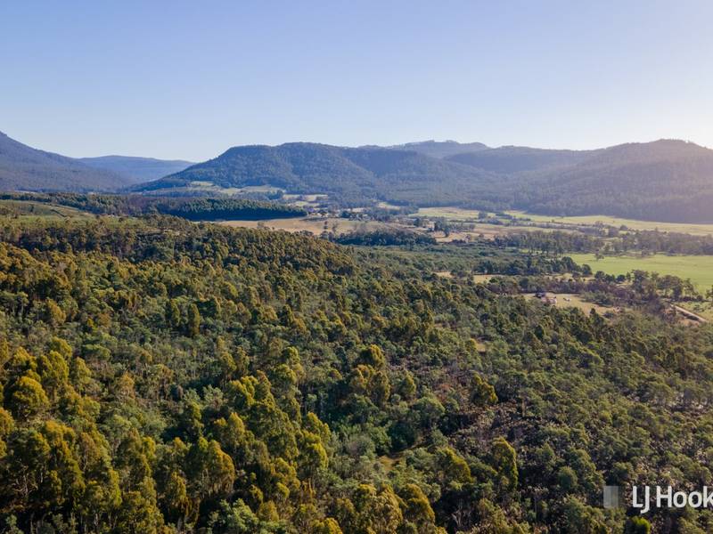 Lot 1 Liffey Road, LIFFEY, TAS 7301