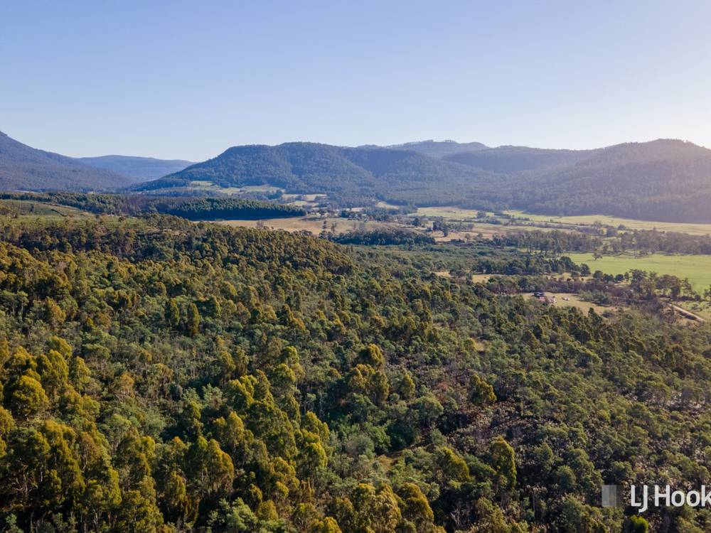Lot 1 Liffey Road, LIFFEY, TAS 7301