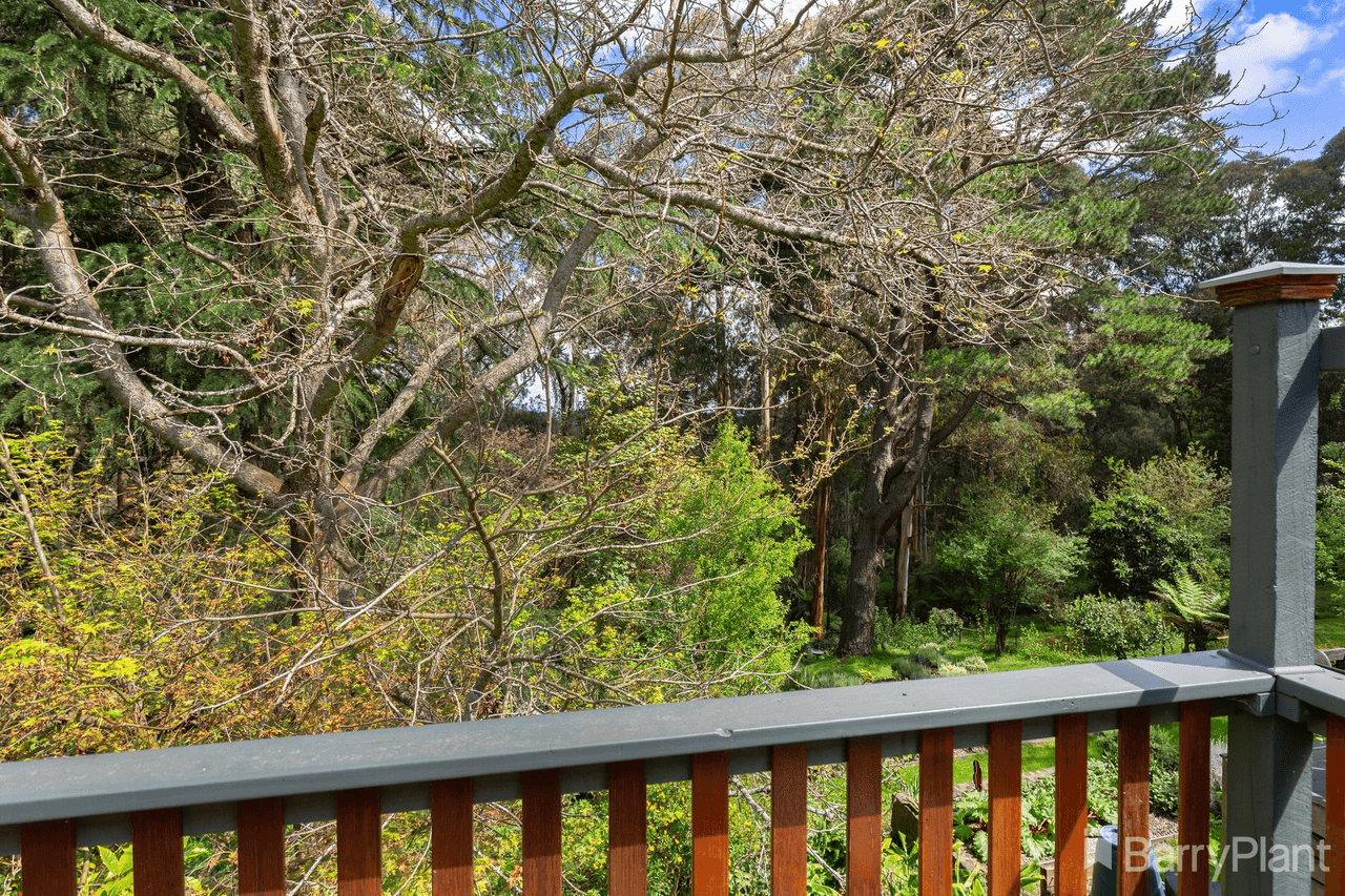 290 Belgrave-Gembrook Road, Clematis, VIC 3782