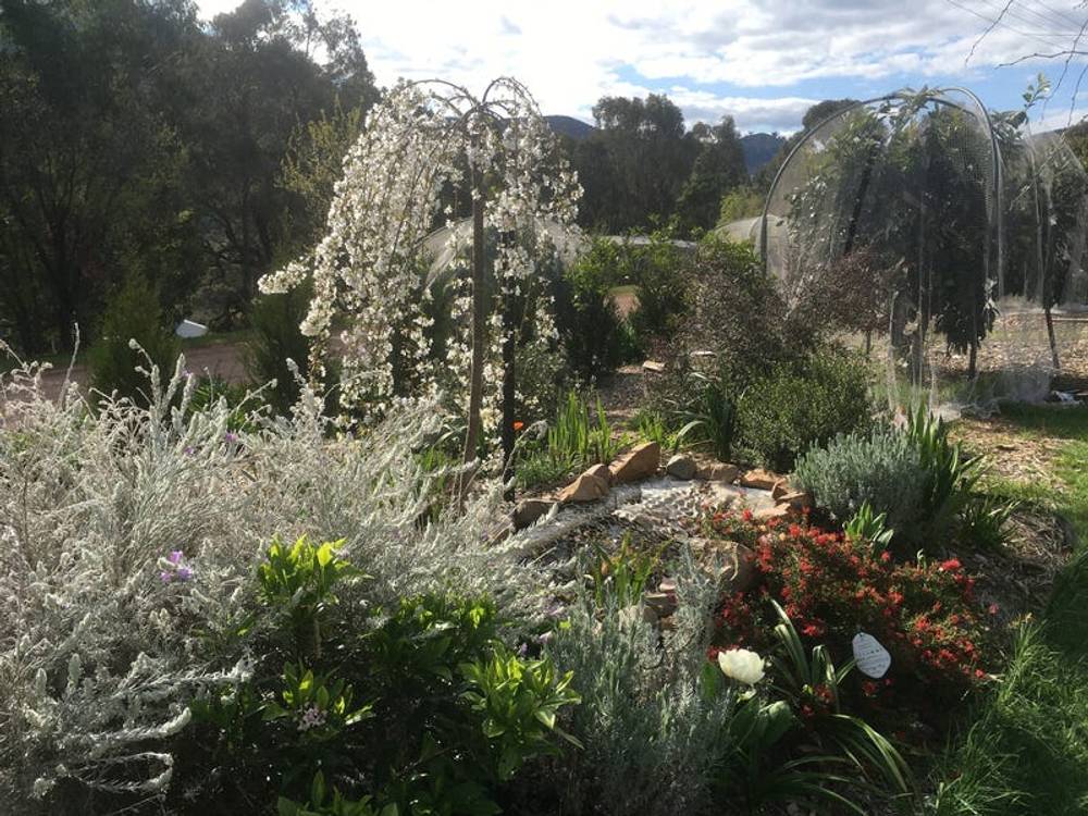 13 Trout Stream Way, MACS COVE, VIC 3723