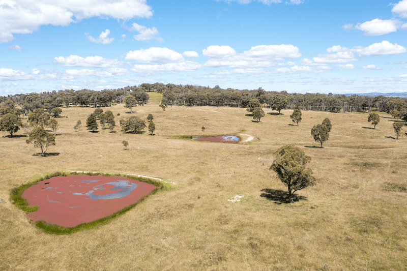 1670 Grafton Road, ARMIDALE, NSW 2350