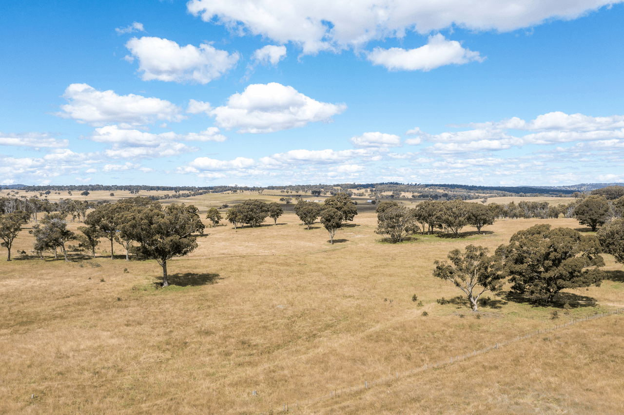 1670 Grafton Road, ARMIDALE, NSW 2350