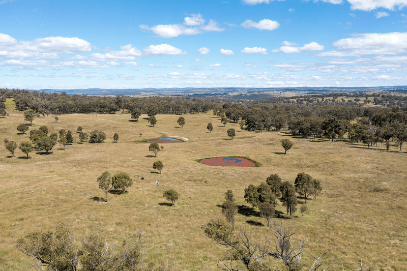 1670 Grafton Road, ARMIDALE, NSW 2350