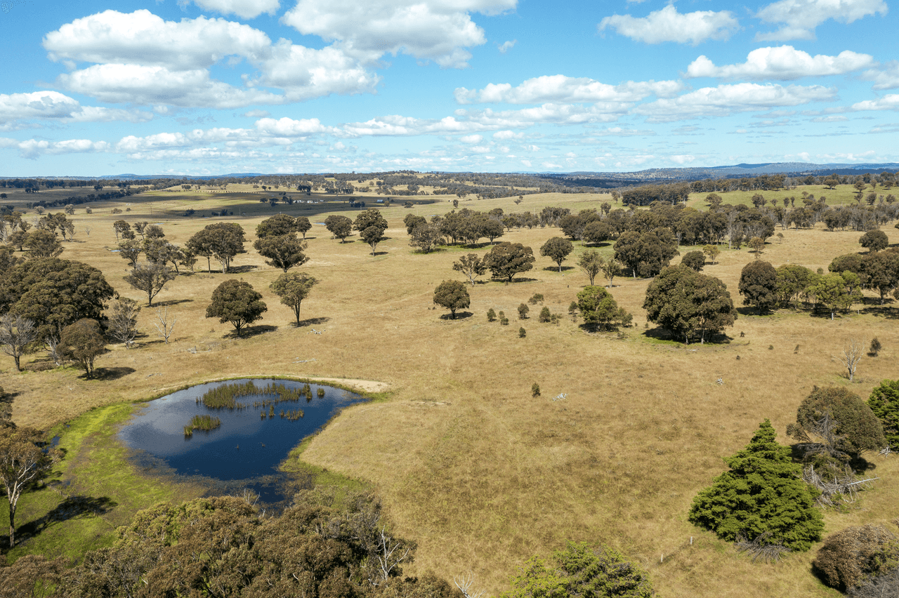 1670 Grafton Road, ARMIDALE, NSW 2350