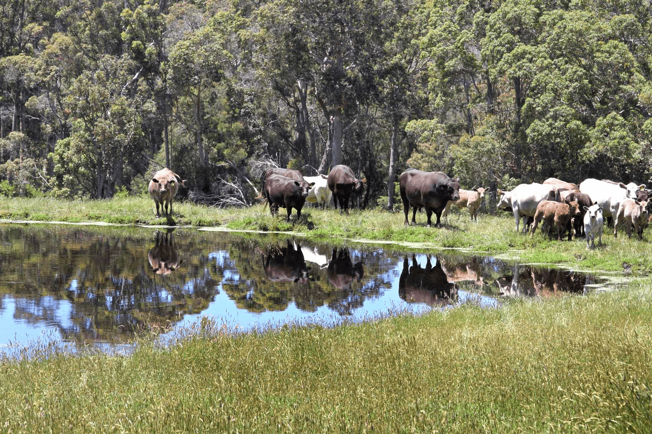 Lot 500 Roberts Road, DENMARK, WA 6333