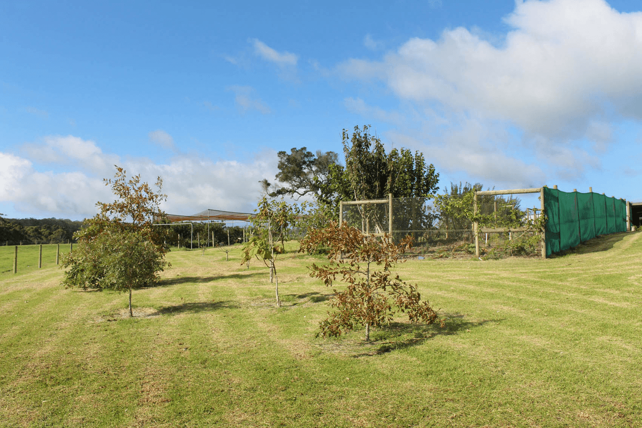 Lot 500 Roberts Road, DENMARK, WA 6333