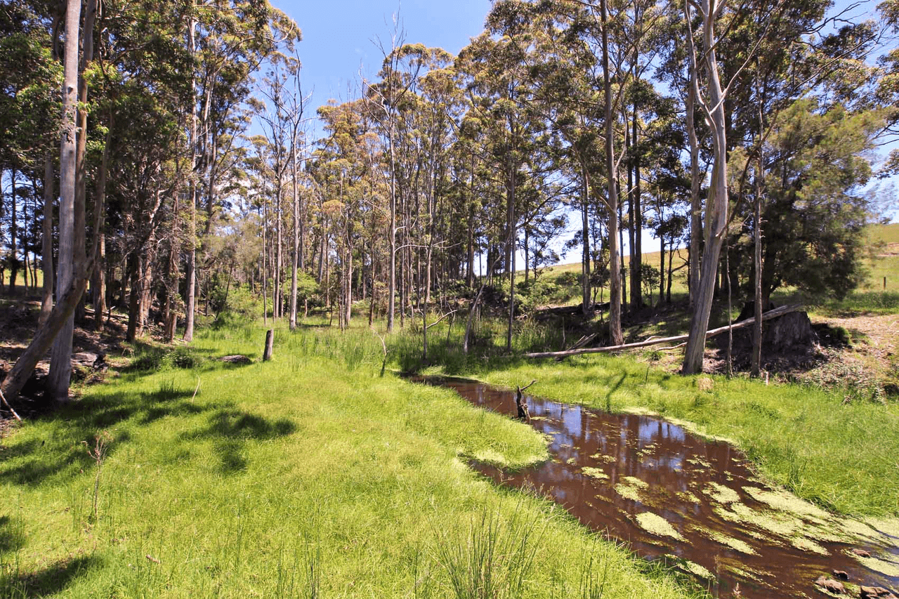 Lot 500 Roberts Road, DENMARK, WA 6333