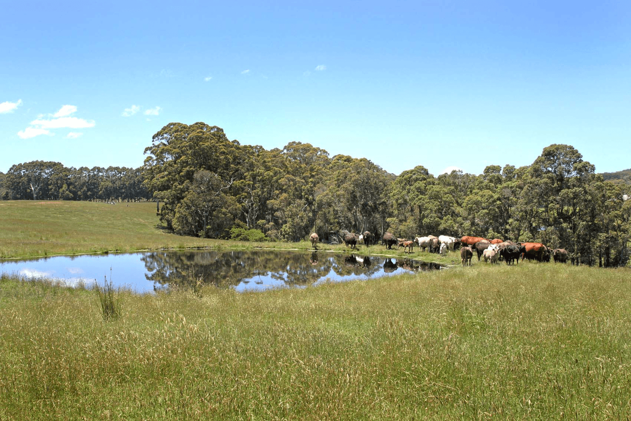 Lot 500 Roberts Road, DENMARK, WA 6333