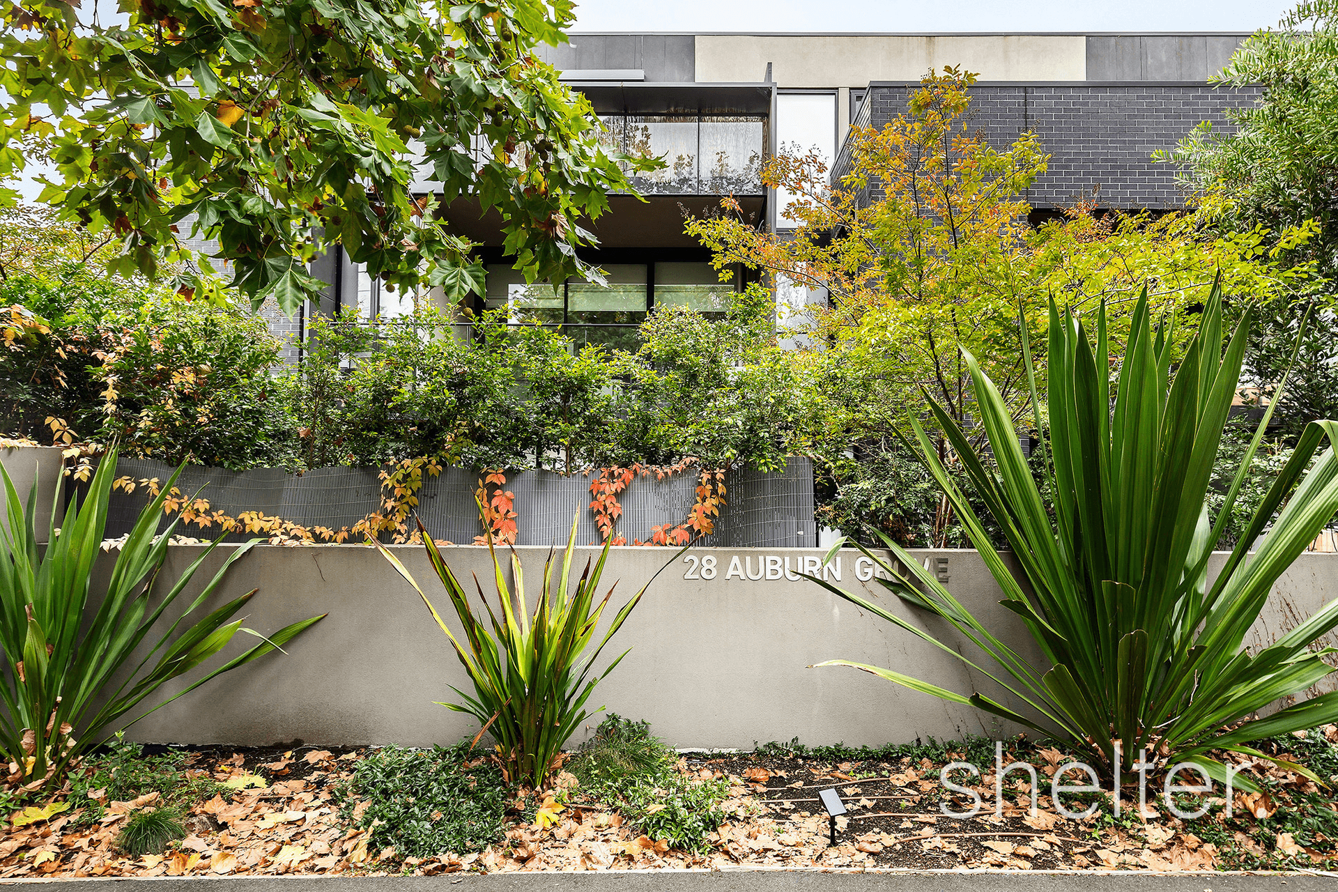 206/28 Auburn Grove, Hawthorn East, VIC 3123