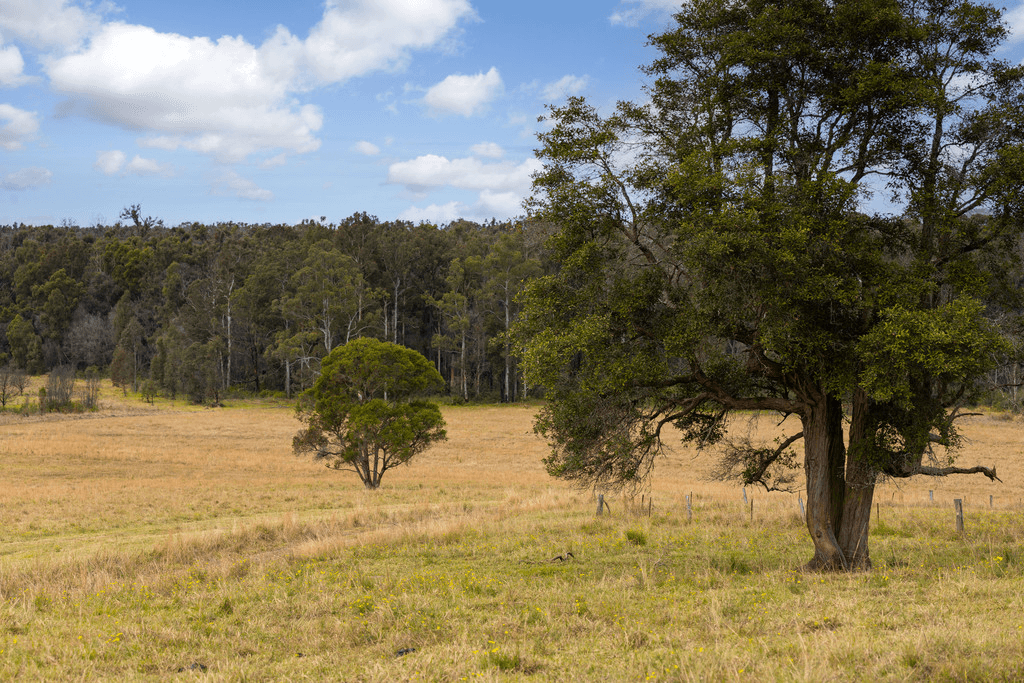 36 Koorak Place, RAINBOW FLAT, NSW 2430