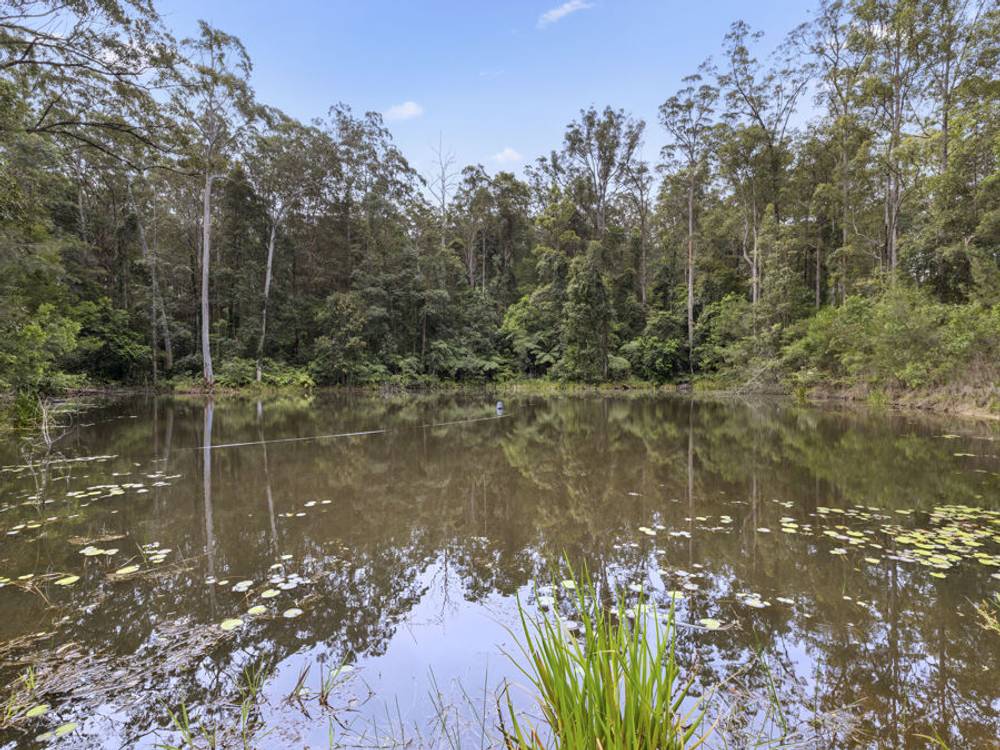1569 Orara Way, NANA GLEN, NSW 2450
