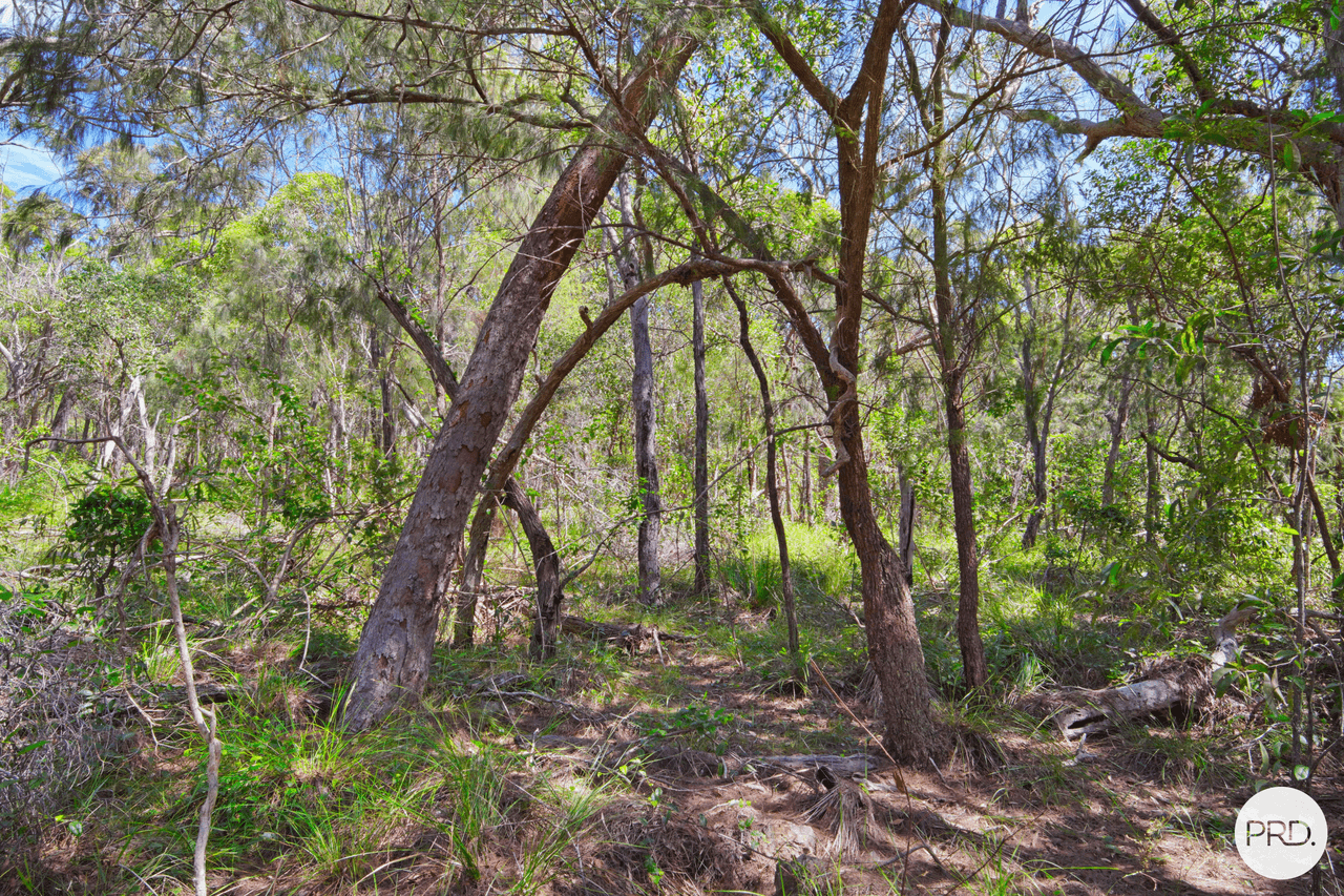 Lot 50 Lady Elliot Drive, AGNES WATER, QLD 4677