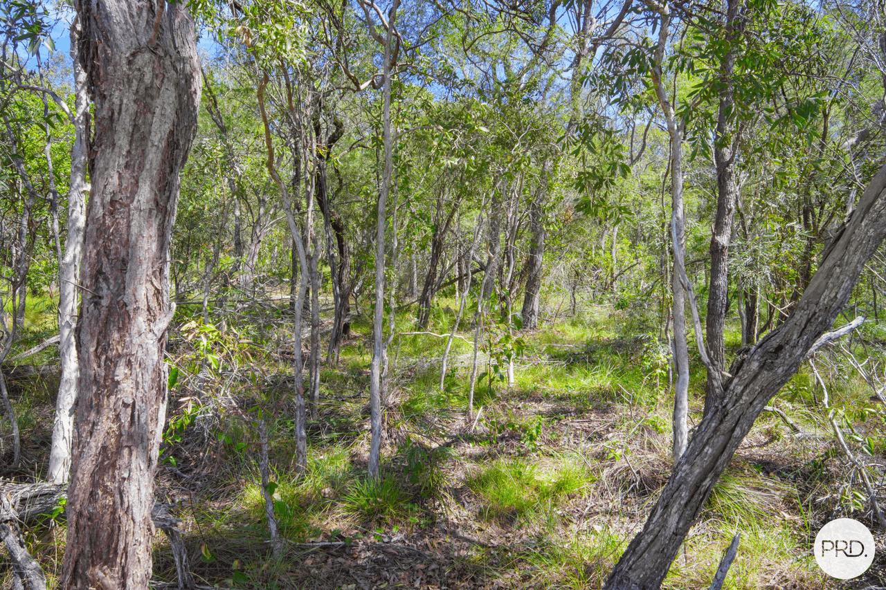 Lot 50 Lady Elliot Drive, AGNES WATER, QLD 4677