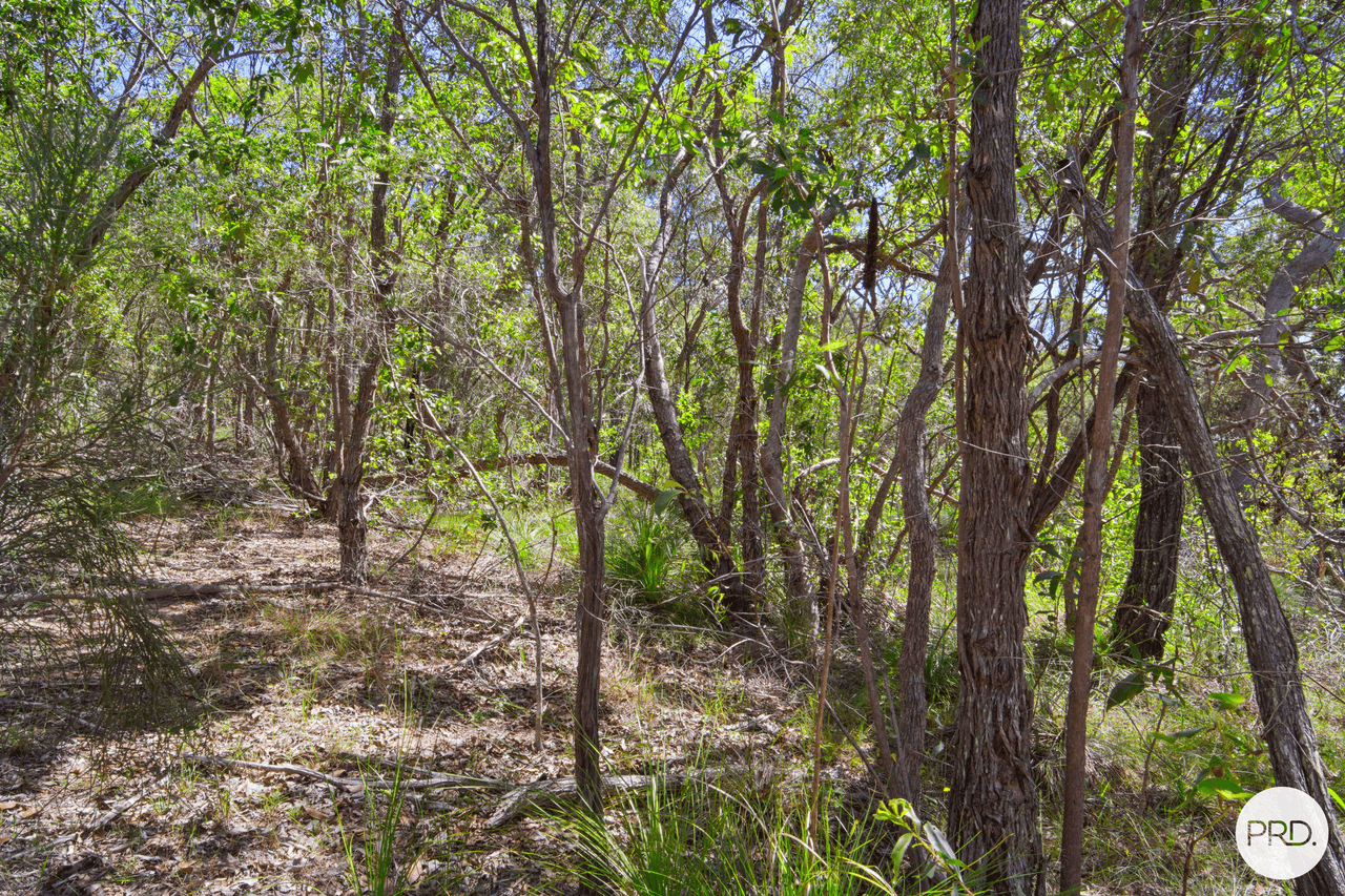 Lot 50 Lady Elliot Drive, AGNES WATER, QLD 4677