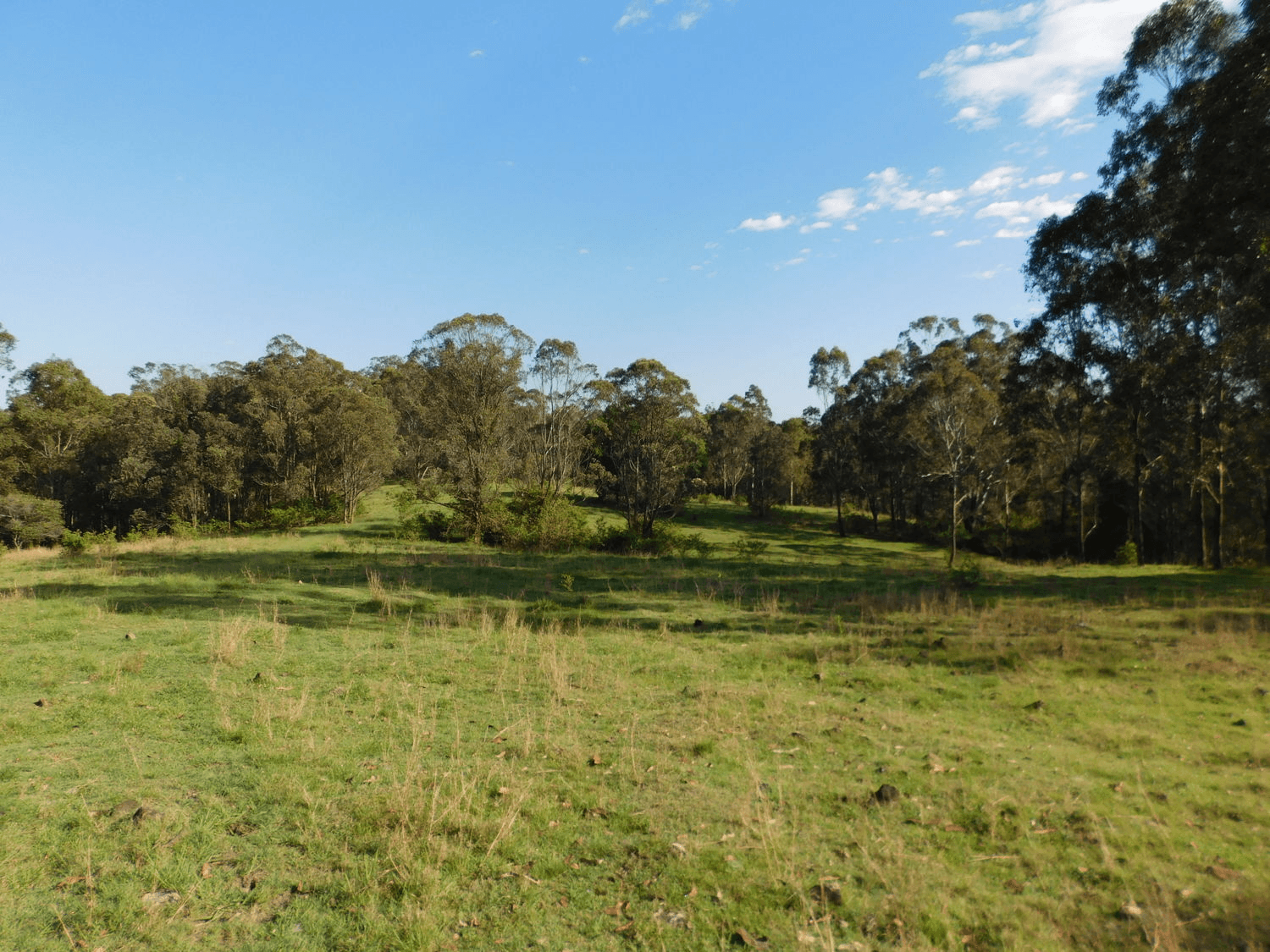 Bulmers Road, HOGARTH RANGE, NSW 2469