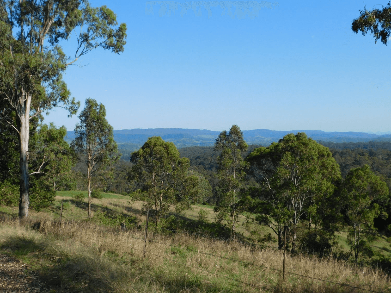 Bulmers Road, HOGARTH RANGE, NSW 2469