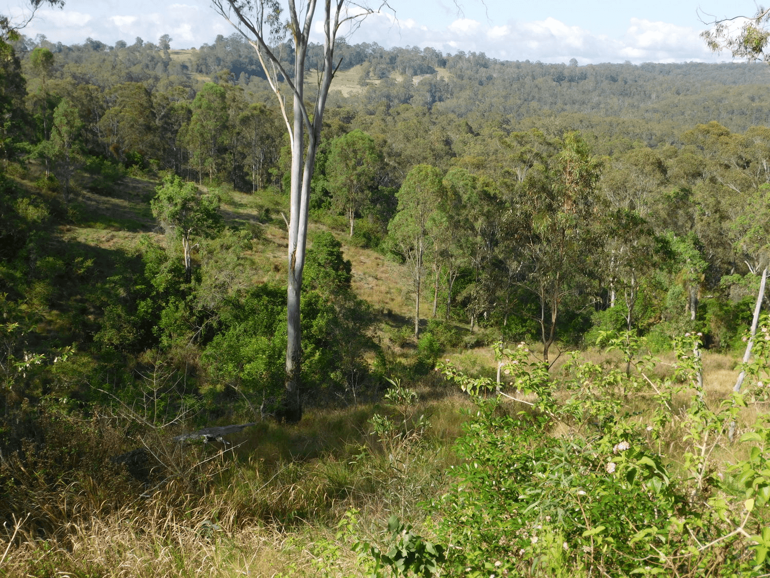 Bulmers Road, HOGARTH RANGE, NSW 2469