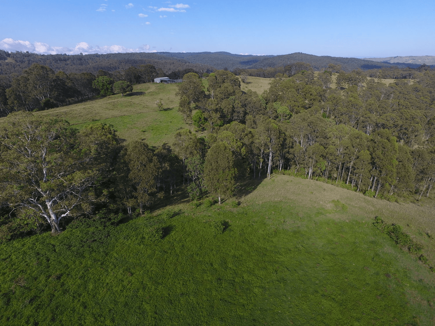 Bulmers Road, HOGARTH RANGE, NSW 2469